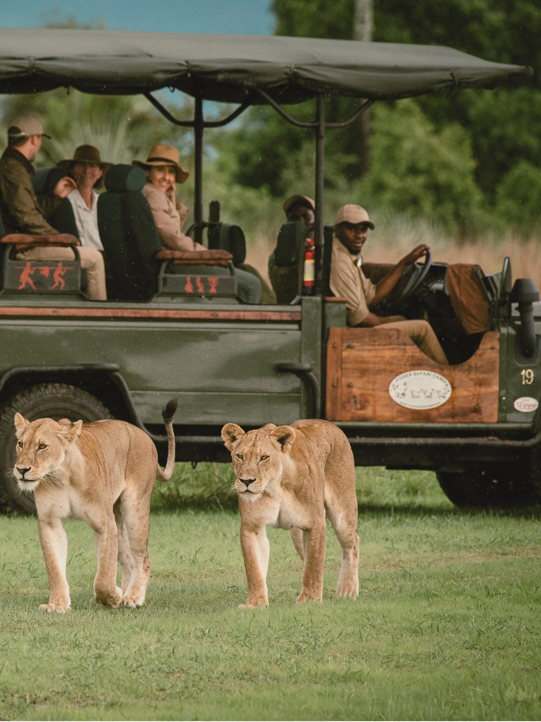In-Depth Safari